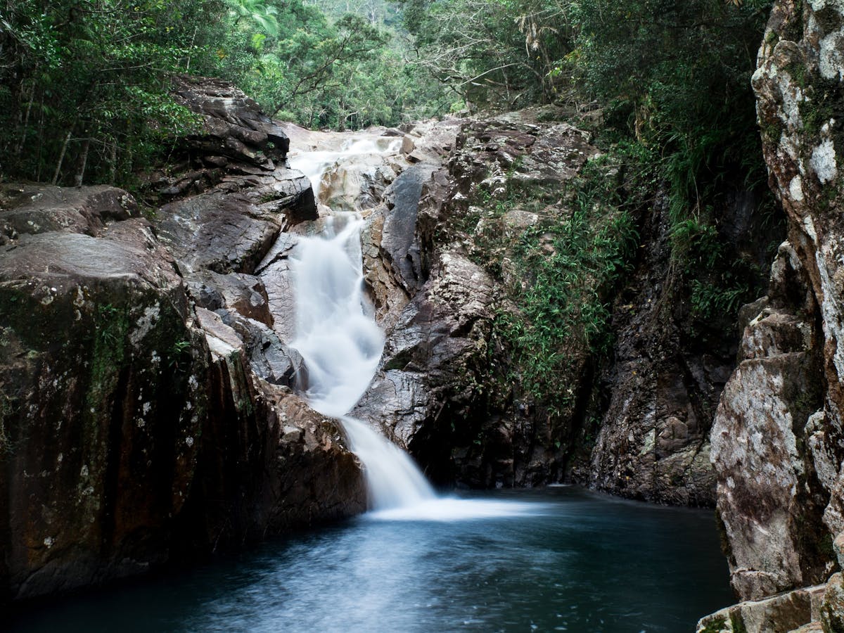 finchhattongorge