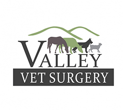 valley vet surgery